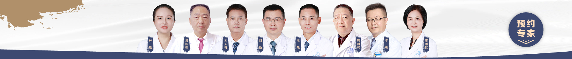 专家团队